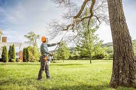Best Leaf Removal  in Tracy, CA