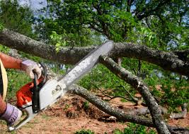 Best Lawn Watering Services  in Tracy, CA
