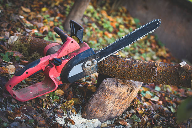 Best Lawn Renovation and Restoration  in Tracy, CA